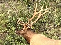 Ich sehe Dich….bin aber groesser !