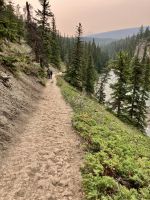 Wanderweg im Maligne Canyon