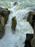 Das Eichhoernchen im Sunwapta Wasserfall