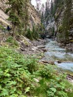 Die schoene Schlucht im Banff National Park