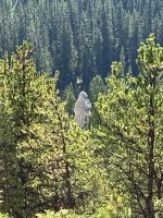 Das Hoodoo Eichhoernchen