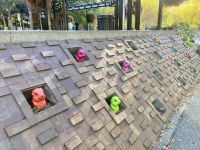 8. Reisetag – Von Toronto nach Banff – Stadtrundfahrt in Calgary – Murmeltiere am Olympic Plaza