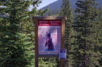 Baerenwarnung am Moraine Lake 2