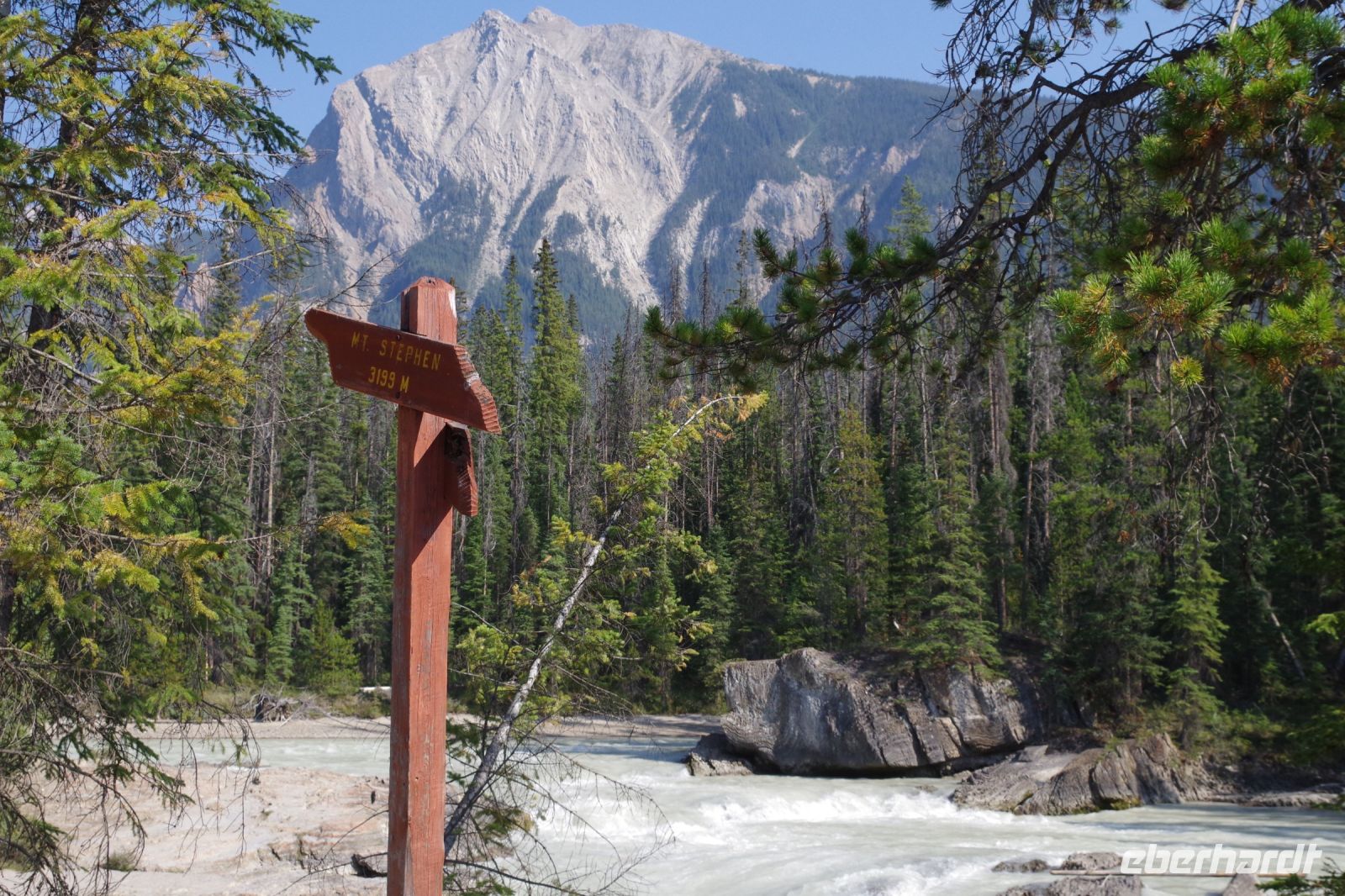 Blick auf den Mt. Stephan am Kickinghorse River Valley