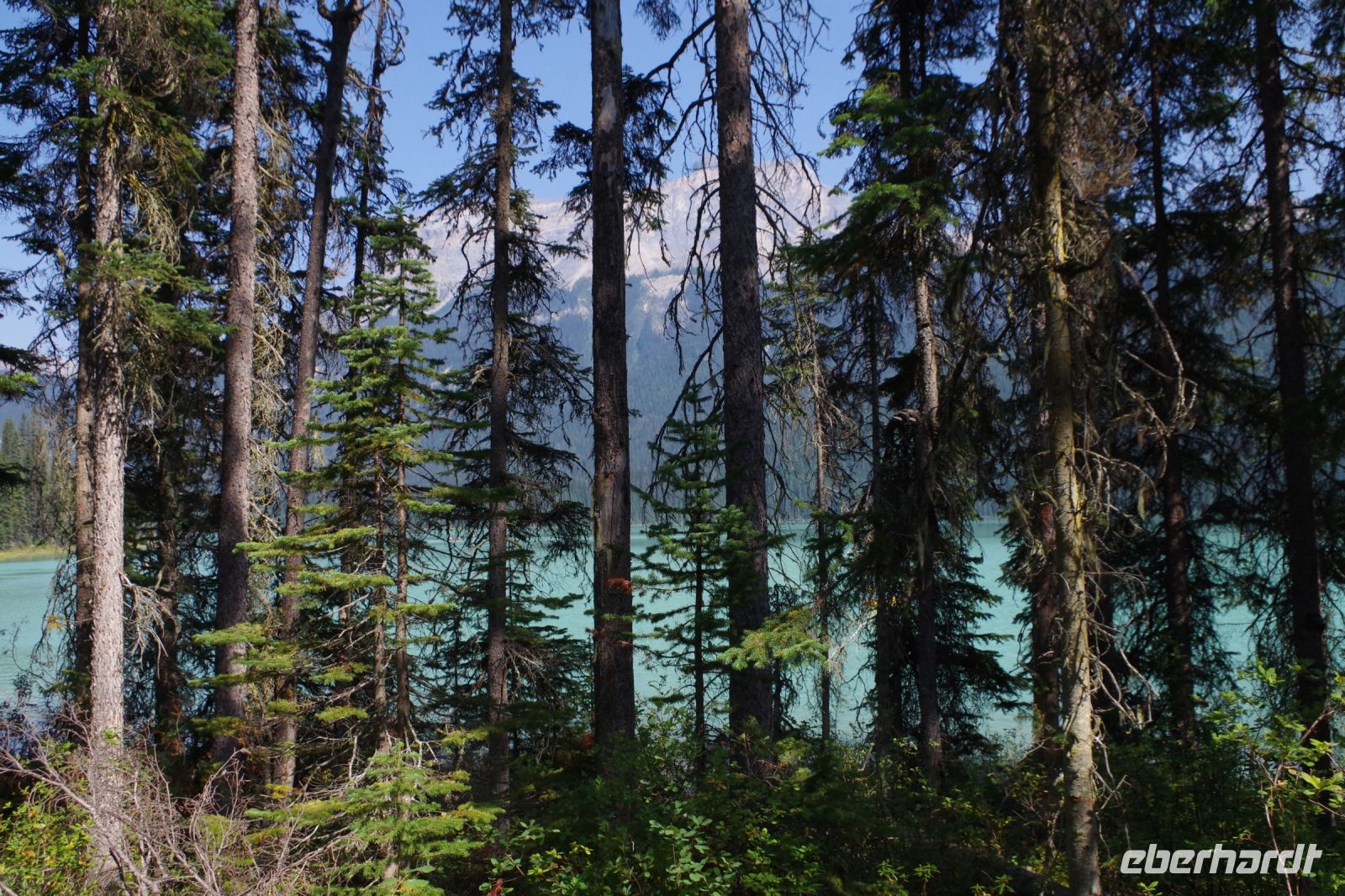Emerald Lake 8