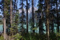 Emerald Lake 8