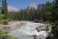 Kickinghorse River Valley im Yoho Nationalpark