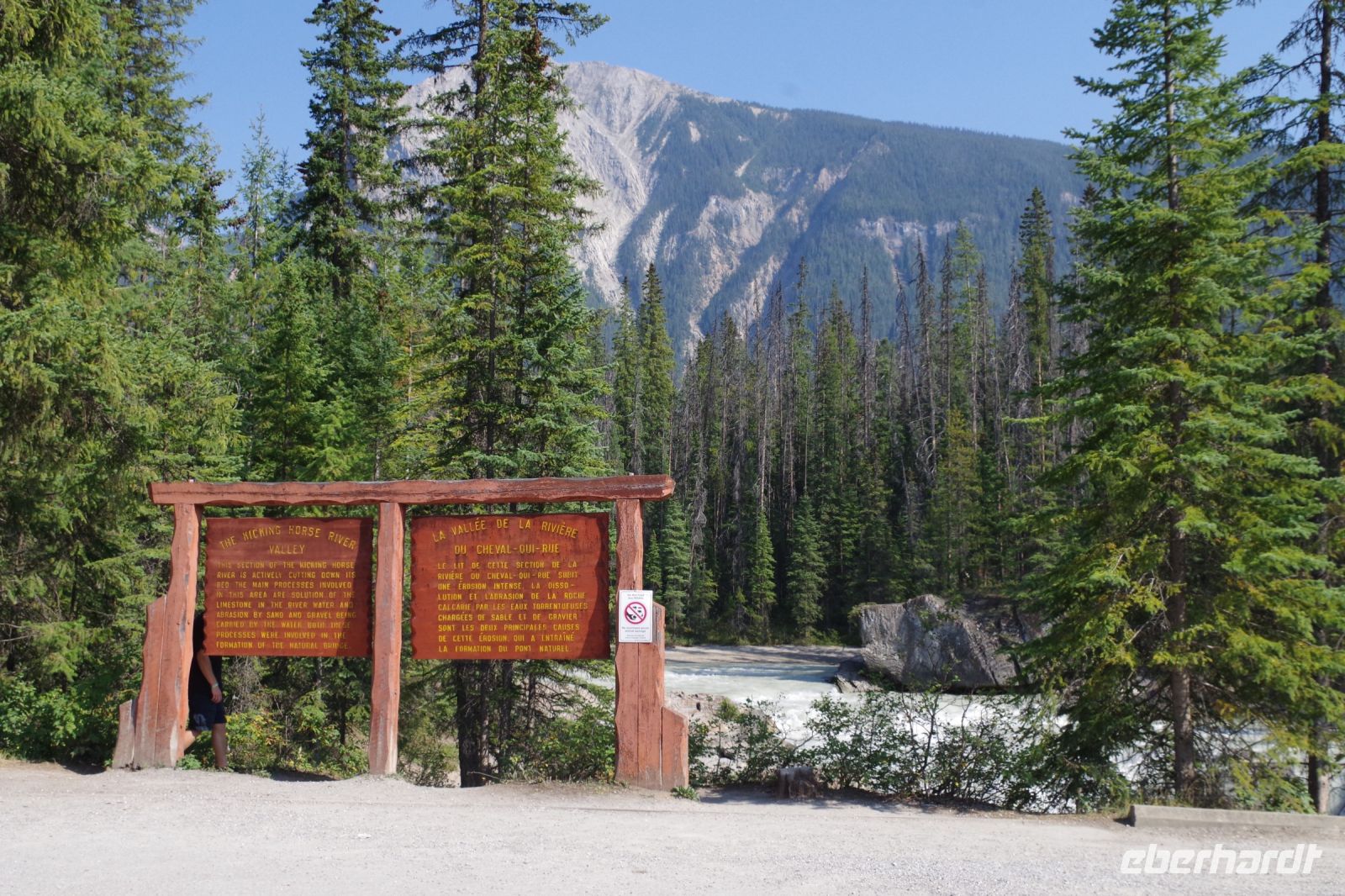 Kickinghorse River Valley