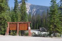 Kickinghorse River Valley