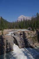 Natural Bridge im Yoho Nationalpark 2