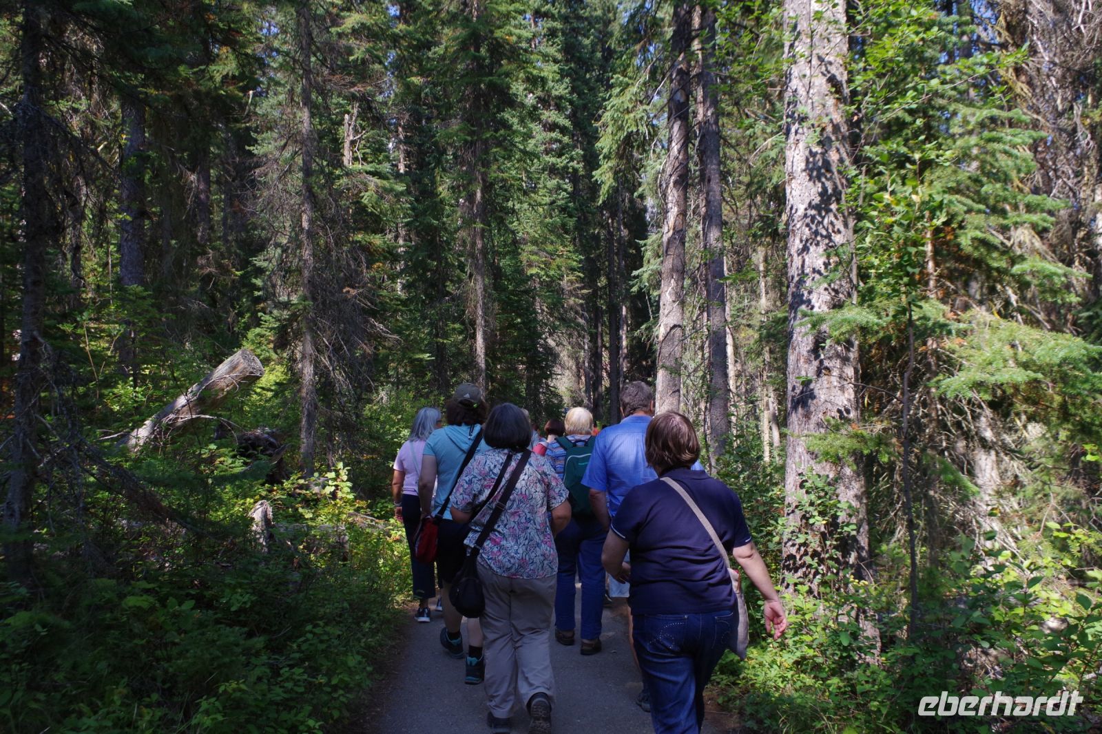 Spaziergang am Emerald Lake 4