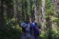 Spaziergang am Emerald Lake 4