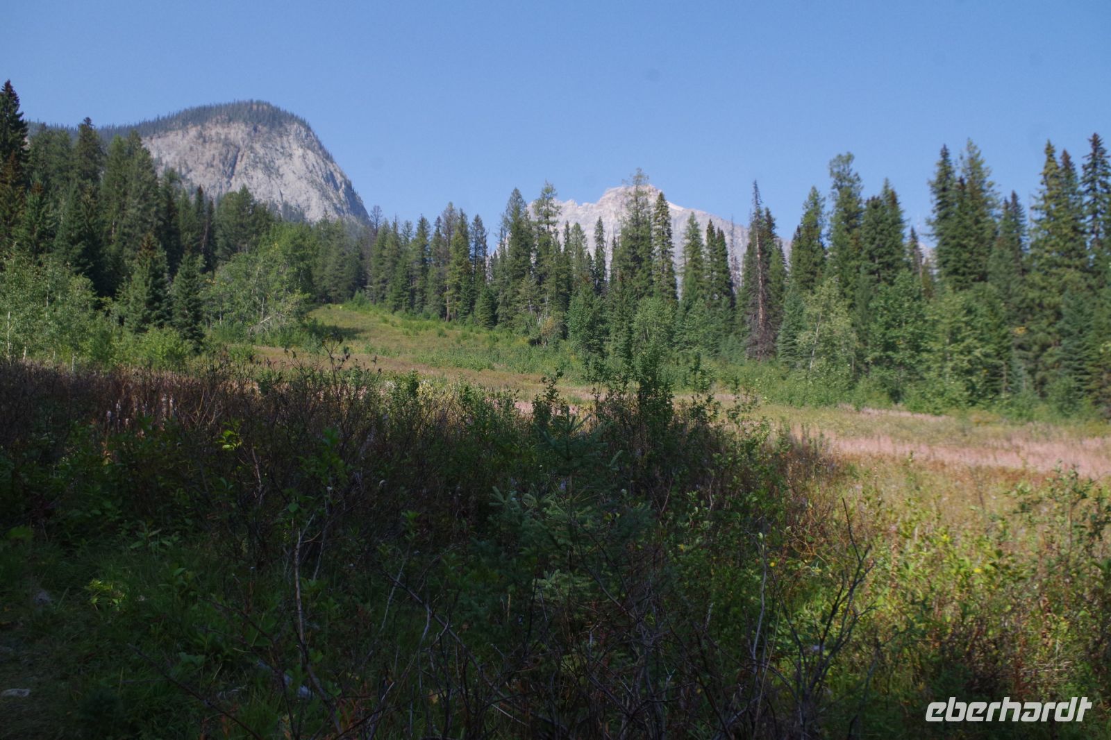 Spaziergang am Emerald Lake 5