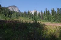 Spaziergang am Emerald Lake 5