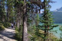 Spaziergang am Emerald Lake 6