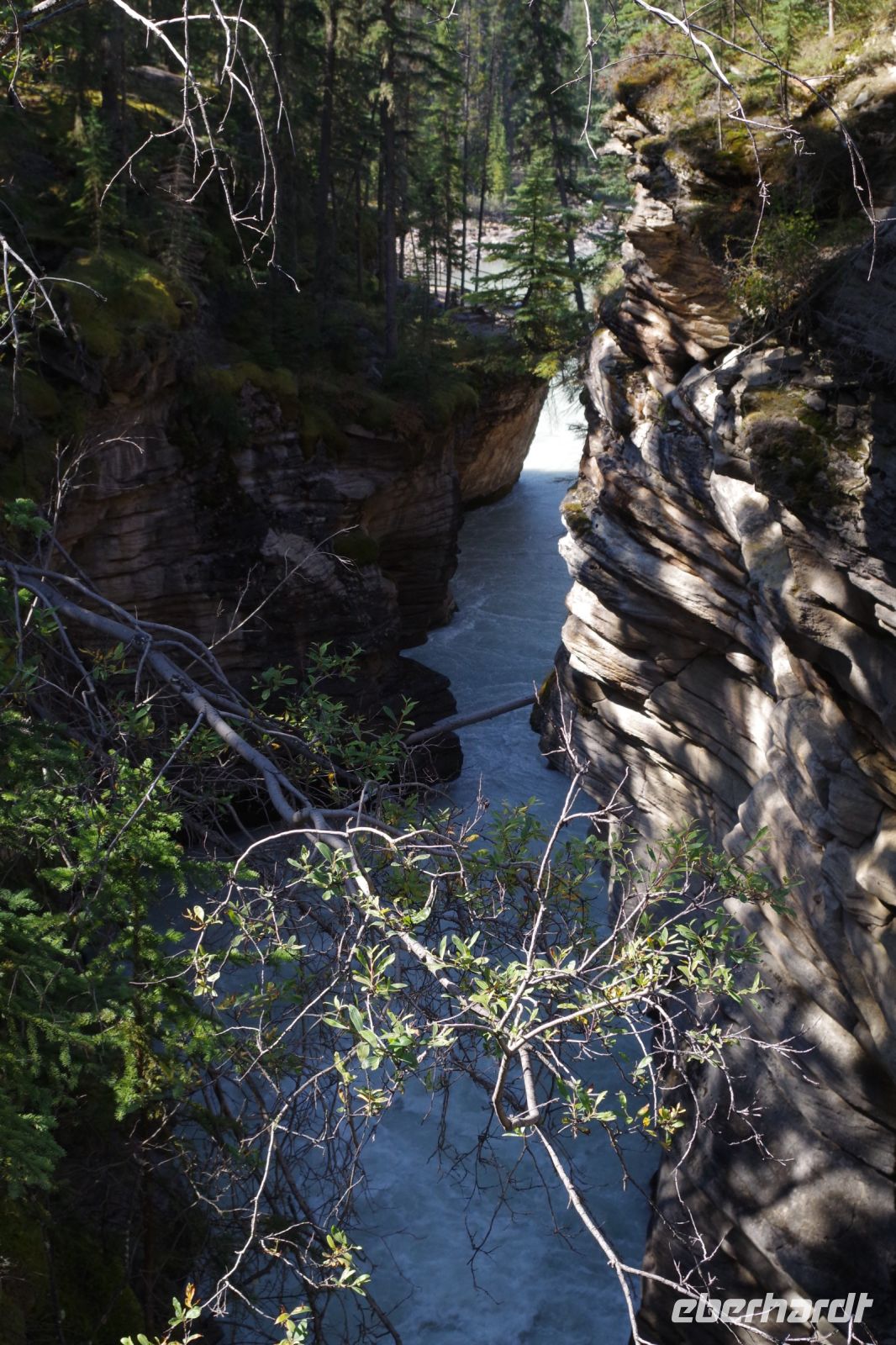An den Athabasca Falls 2