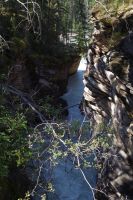 An den Athabasca Falls 2