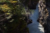 An den Athabasca Falls 3