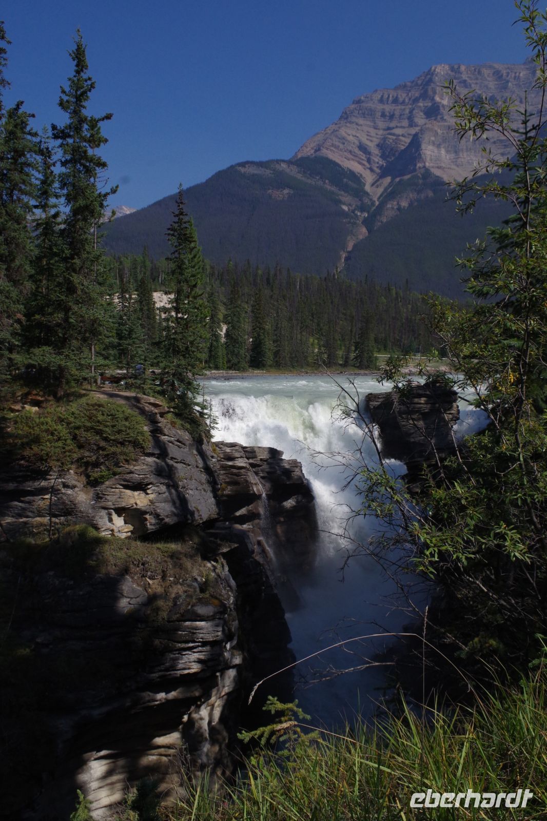 Athabasca Falls