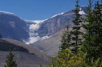 Athabasca Gletscher