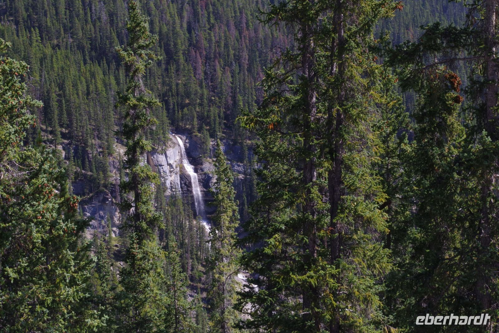 Blick ins Saskatchwa Tal mit Bridal Wasserfall