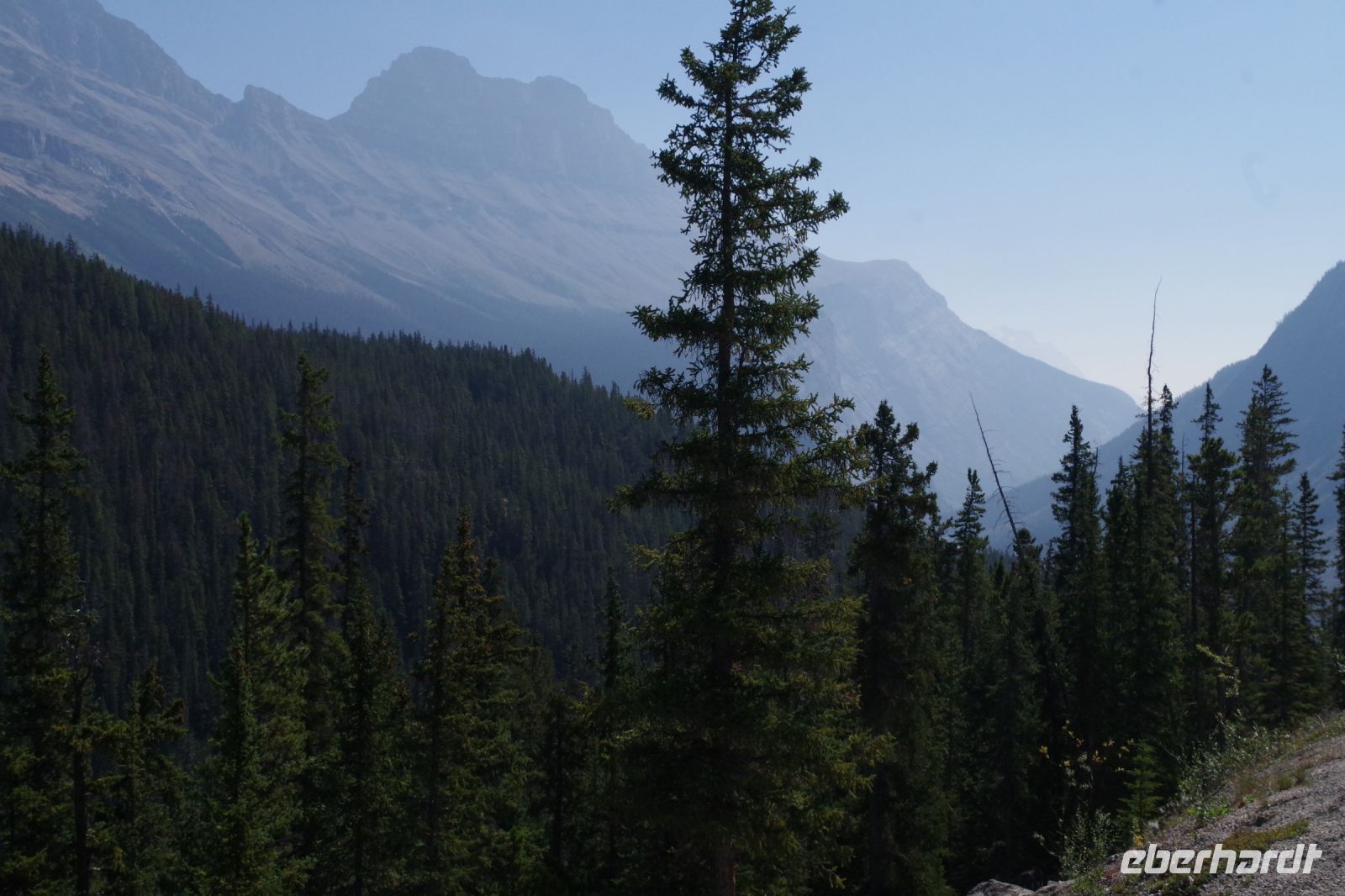 Blick ins Saskatchwa Tal