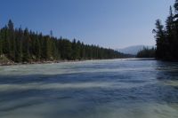 Blick vom Athabasca River Rafting