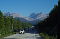 Panoramastraße Icefields Parkway