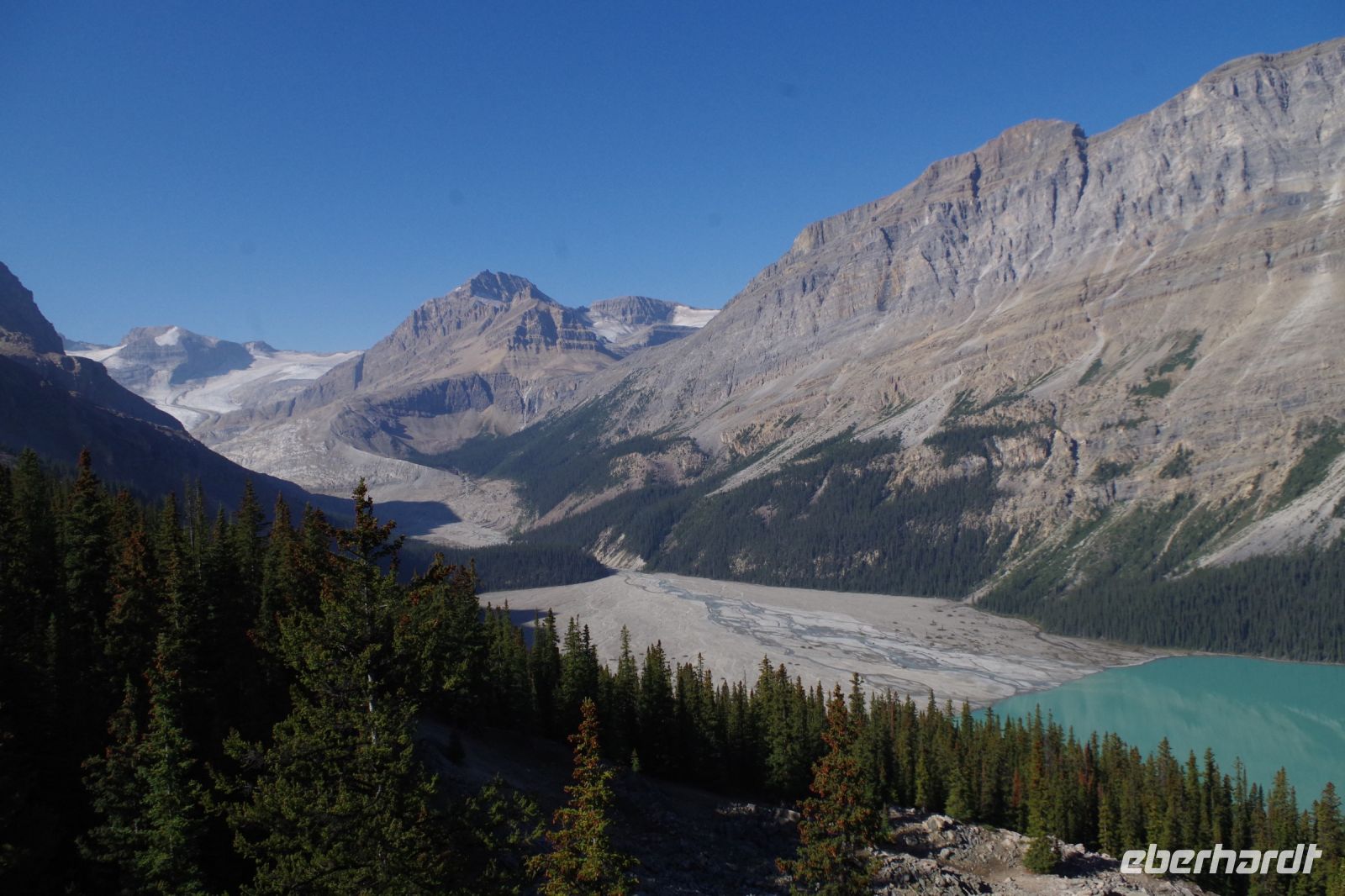 Peyto Gletscher 2