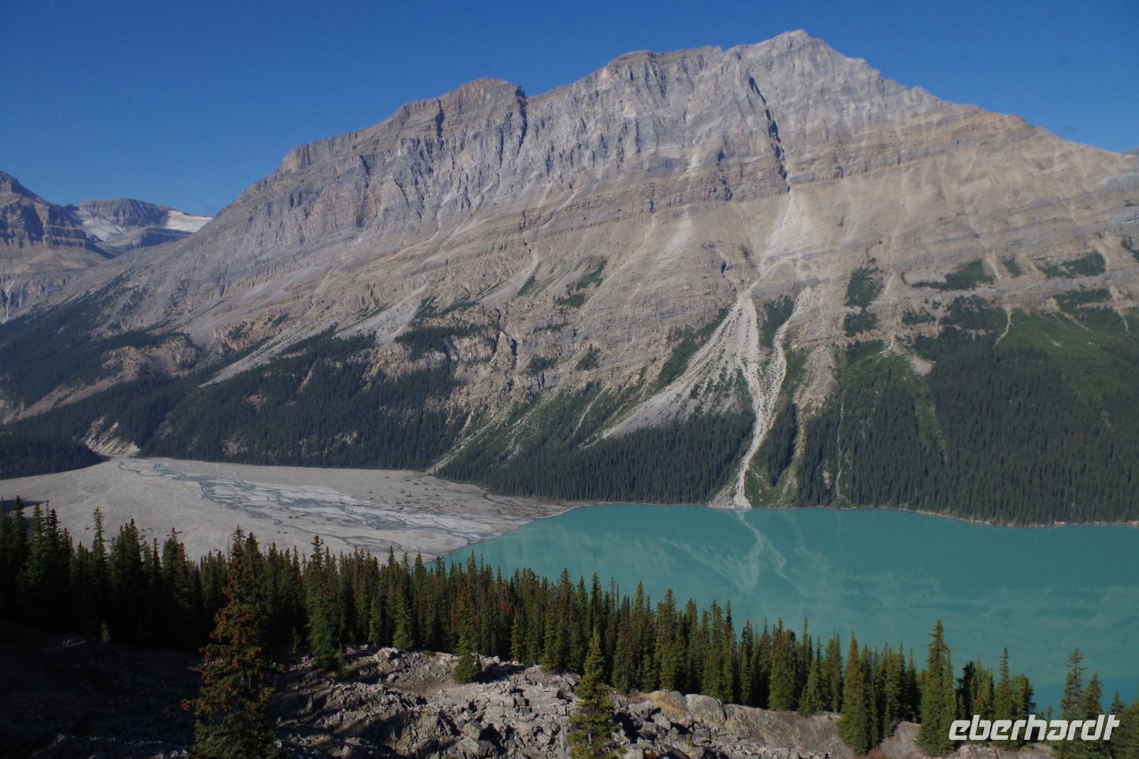 Peyto Gletscher 3