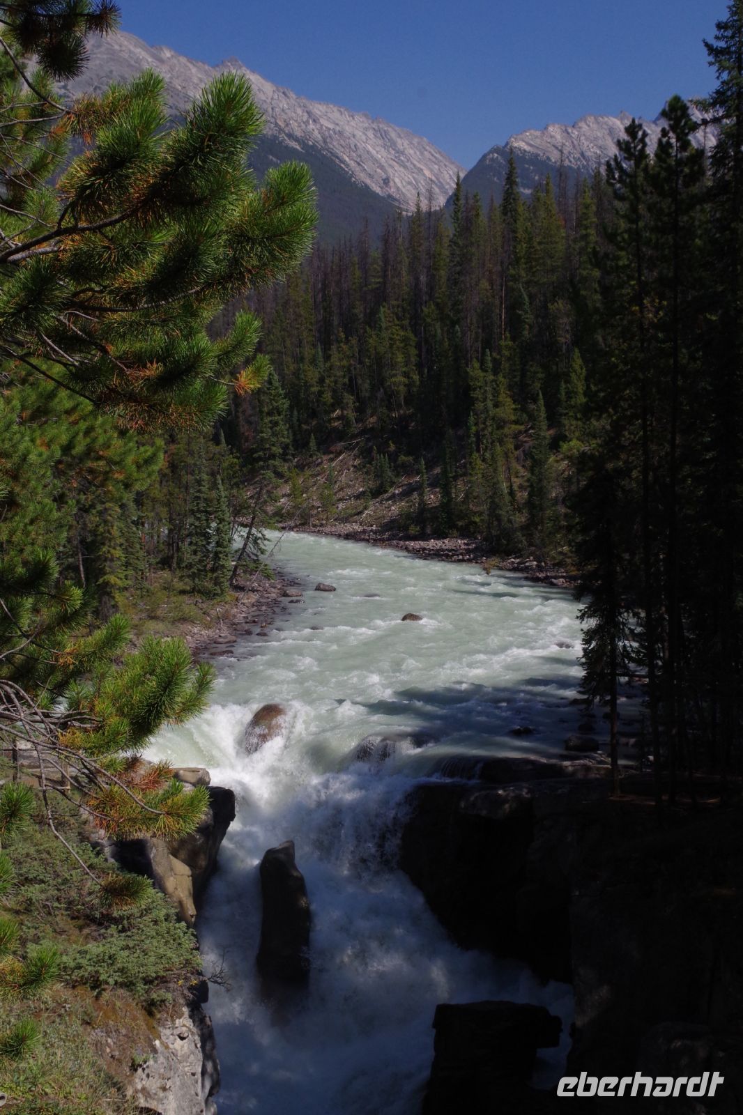 Sunwapta Falls 2