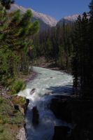 Sunwapta Falls 2