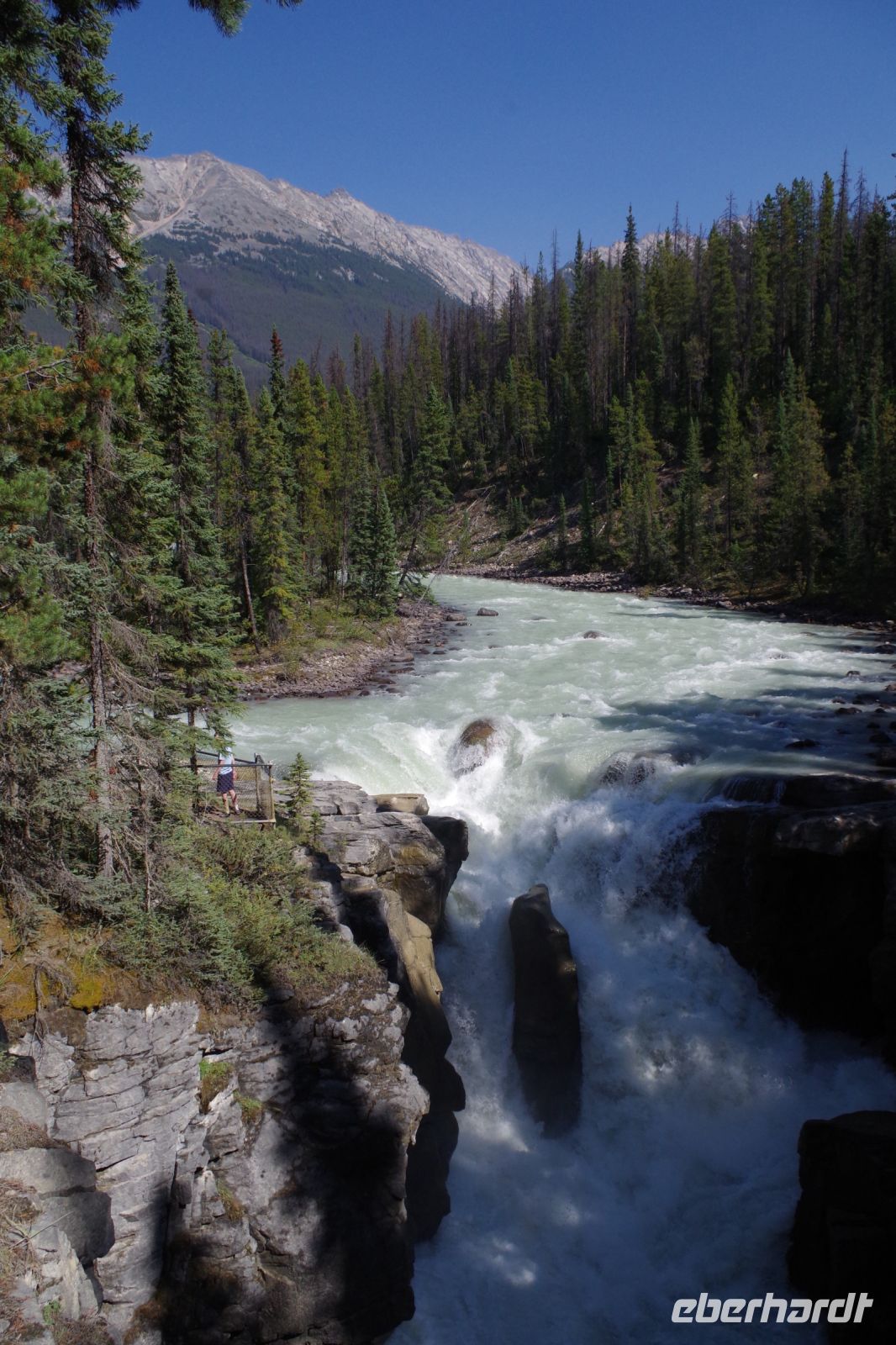Sunwapta Falls