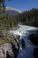 Sunwapta Falls