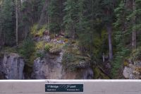 Blick von der ersten Brücke, Maligne Canyon
