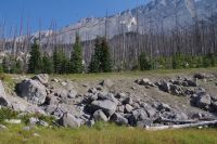 Ehemaliger Waldbrand am Medicine Lake 2