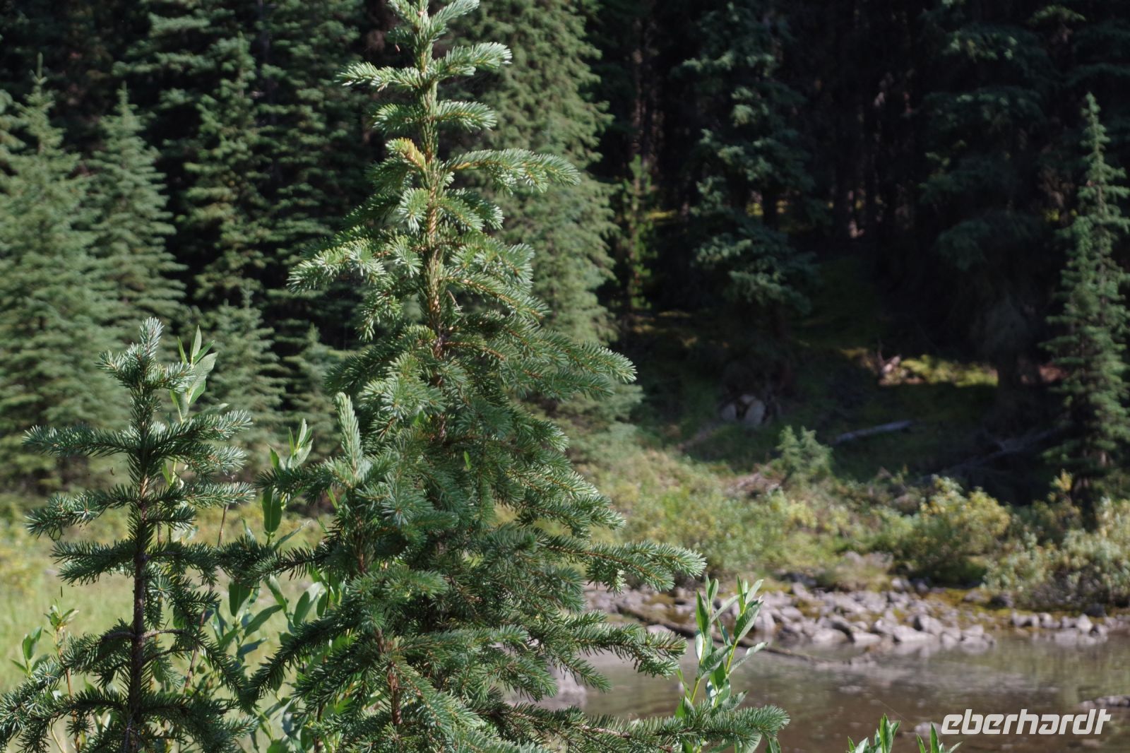 Märy Schäfer Rundgang