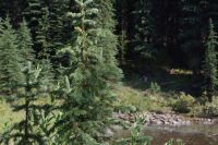 Märy Schäfer Rundgang