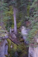 Maligne Canyon 3