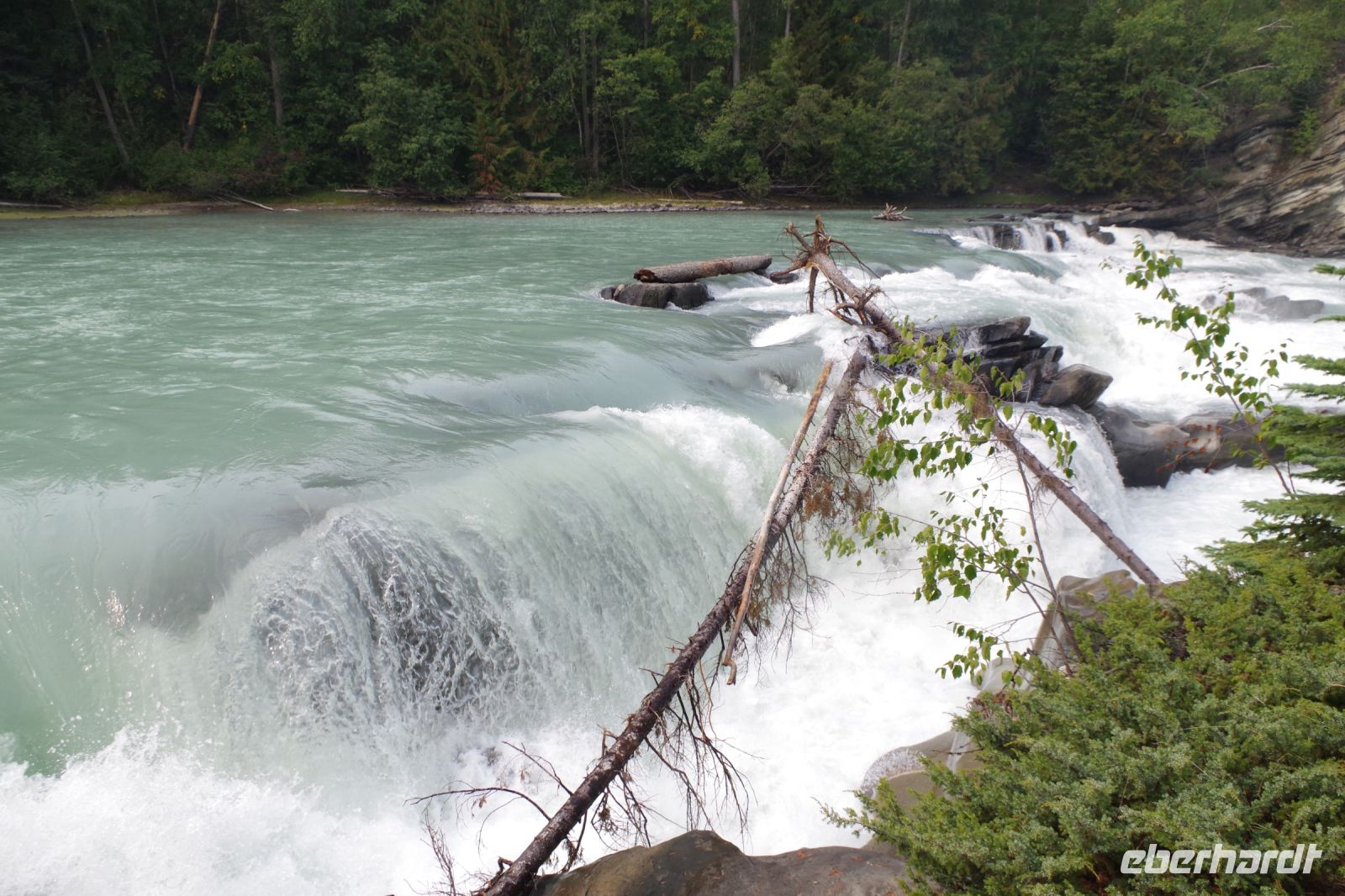 Rearguard Wasserfälle 5