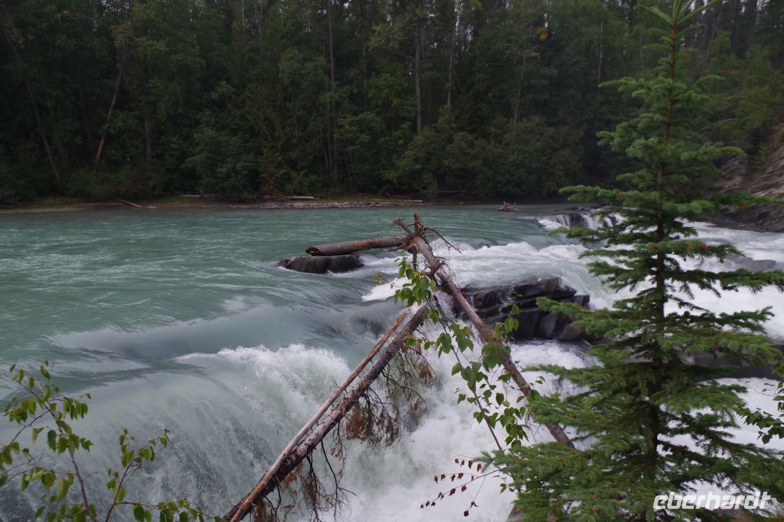 Rearguard Wasserfälle 6