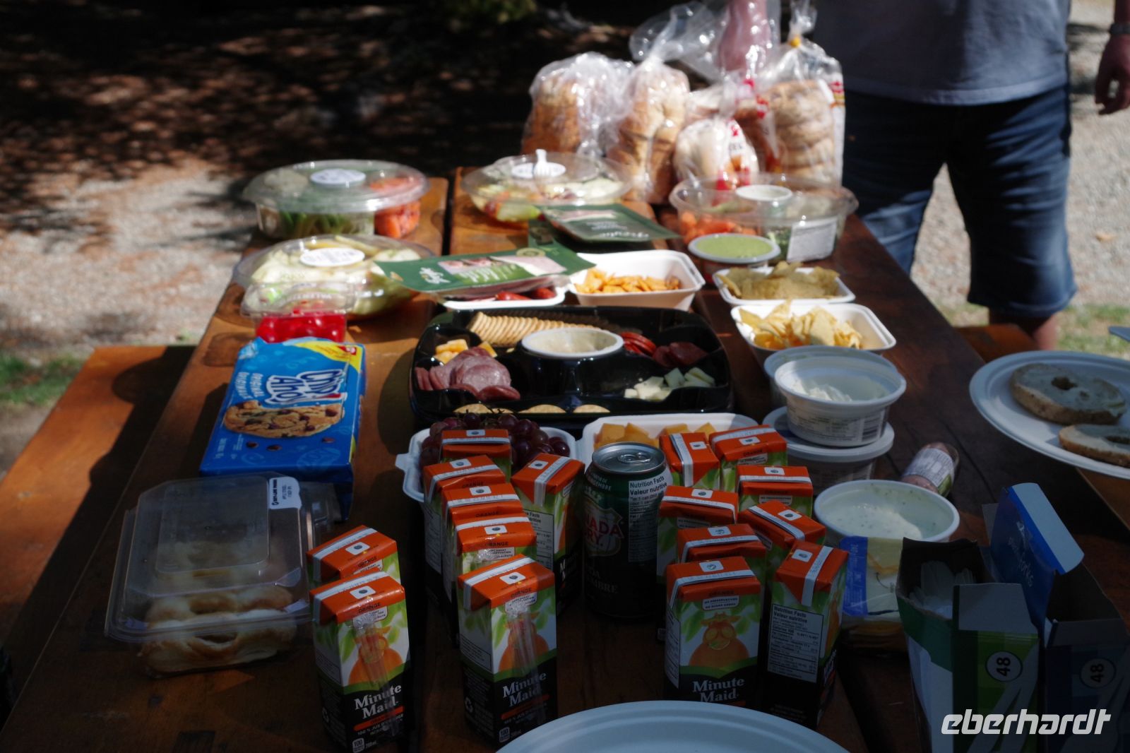 Picknick an den Shannon Falls