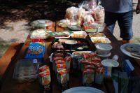 Picknick an den Shannon Falls