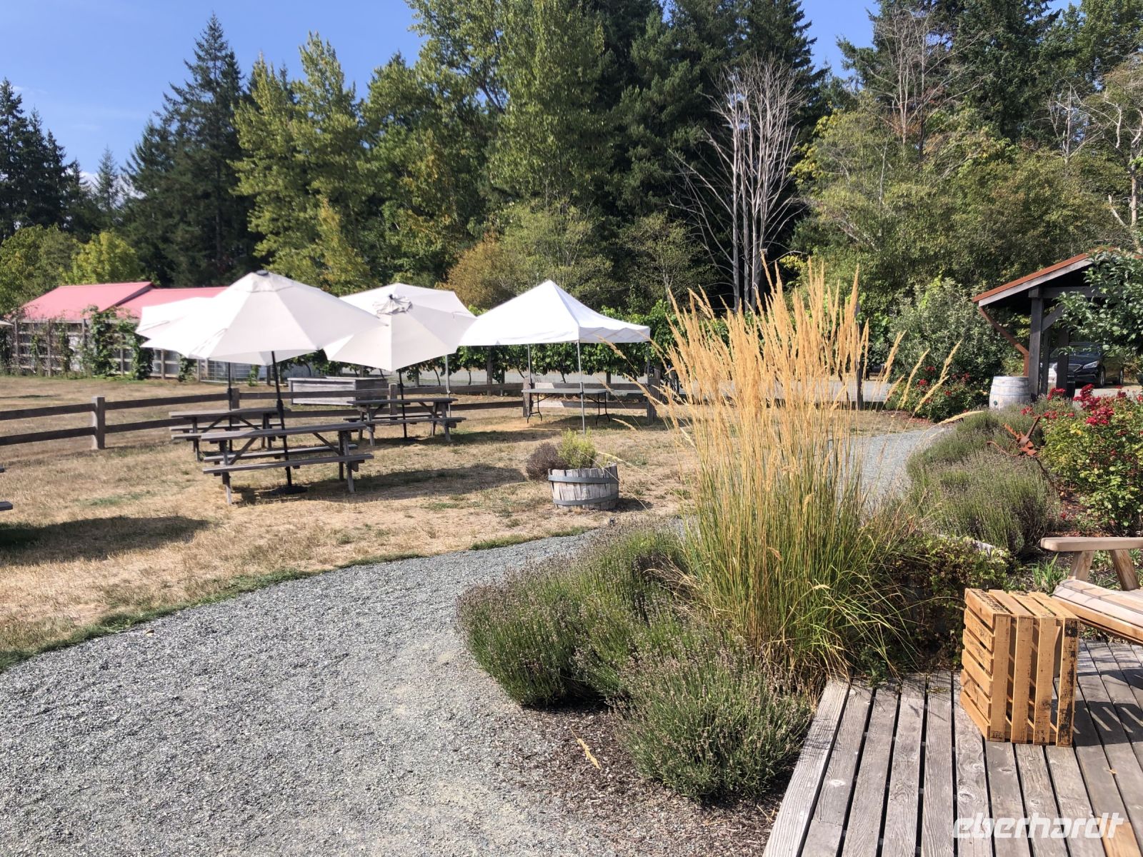 Beaufort Weingut - Verkostung