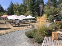 Beaufort Weingut - Verkostung