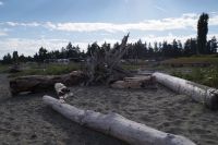 Am Strand von Parksville 2