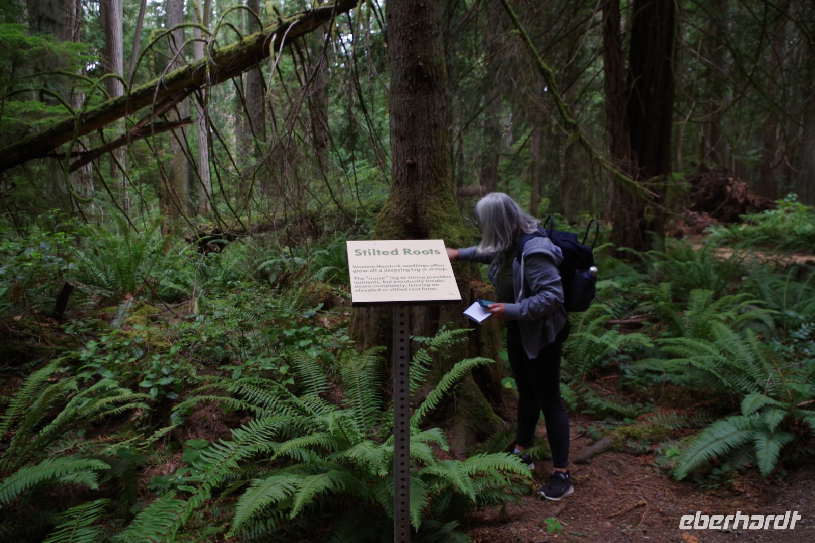 Guide Nadja macht Baumenkunde im Heritage Forest