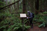 Guide Nadja macht Baumenkunde im Heritage Forest
