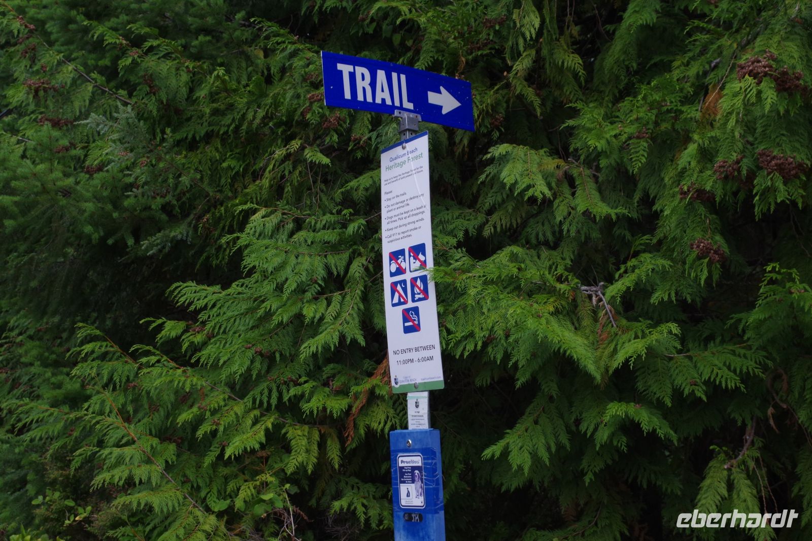 Wanderweg Heritage Forest