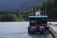 Bärengebiet Orford Bay 4